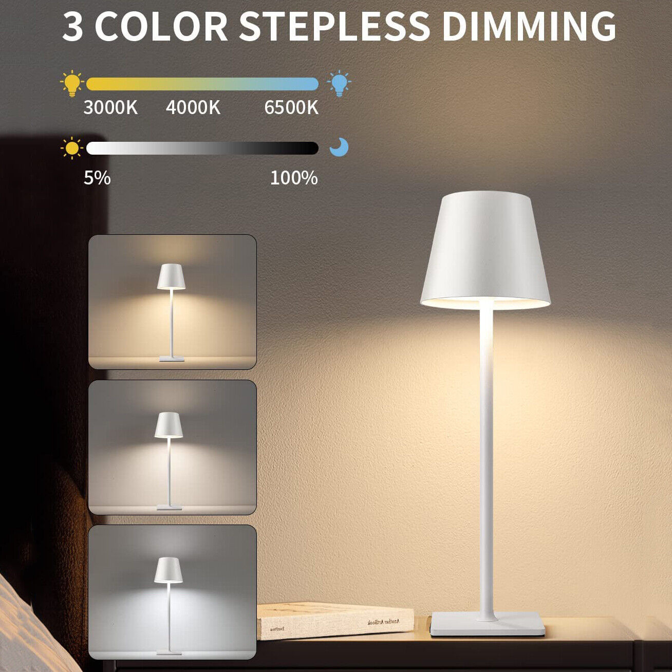 Rechargeable Cordless Metal Table Desk Lamp