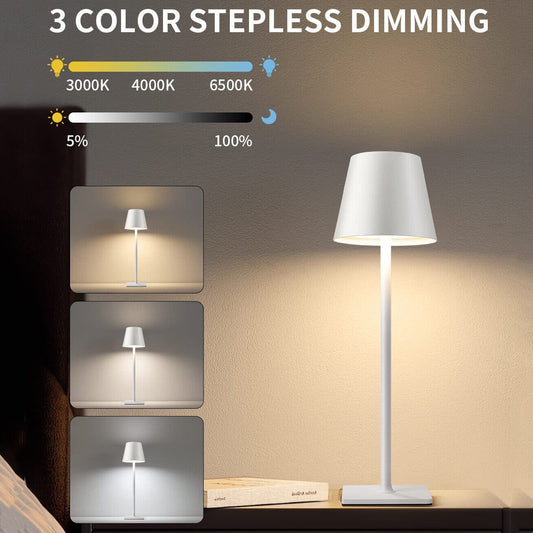 Rechargeable Cordless Metal Table Desk Lamp