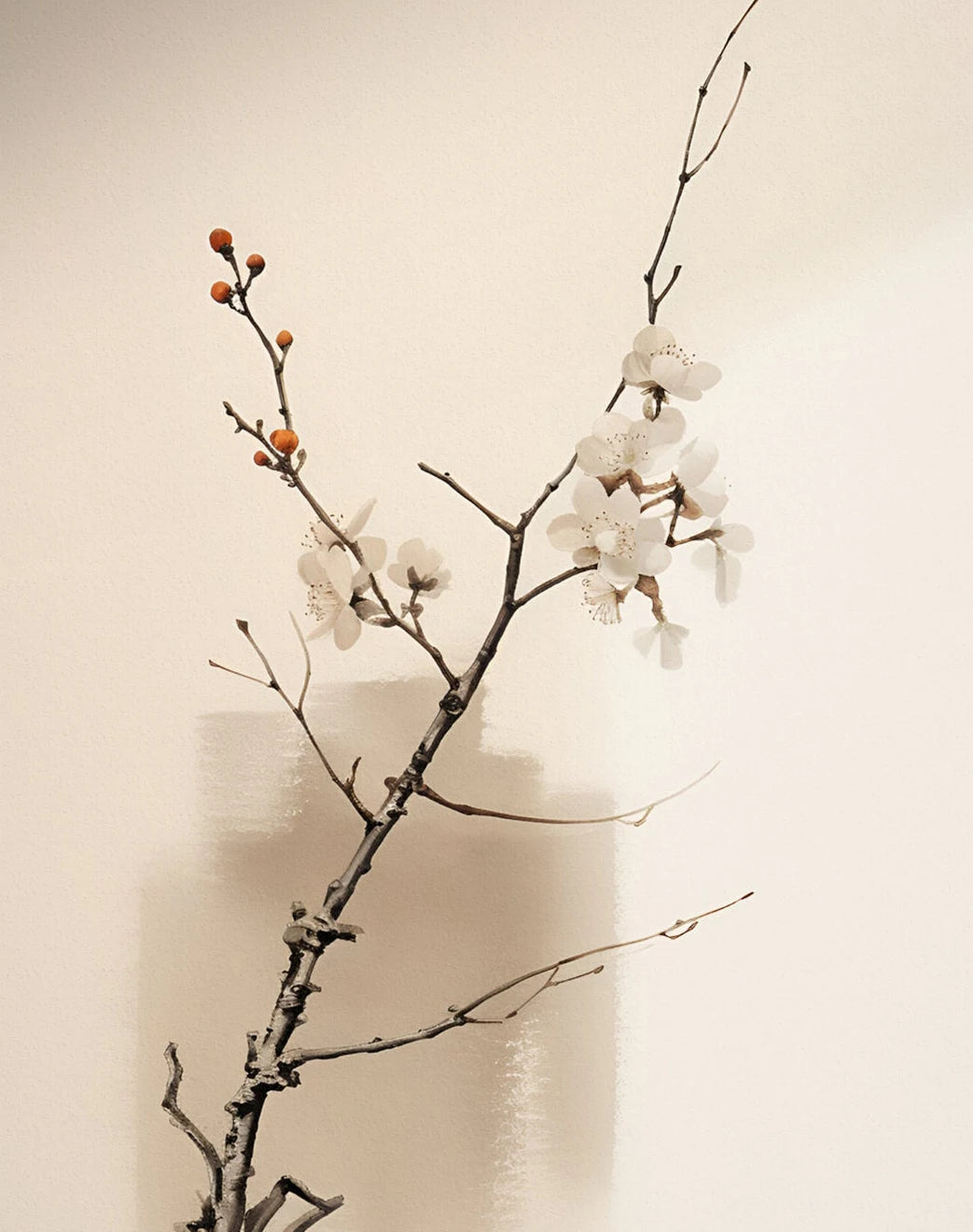 Japan Artwork Wabi Sabi Poster Print Canvas Art Pictures Home for Living Room and Bedroom Modern Wall Decor Frameless Painting