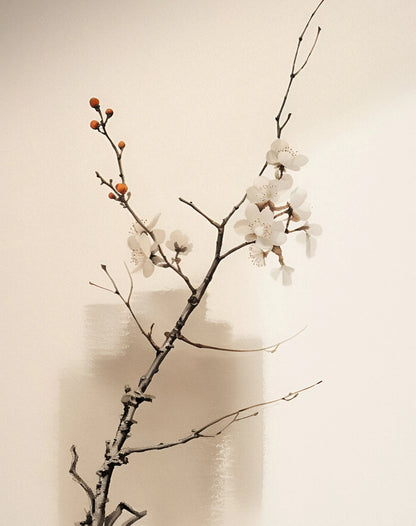 Japan Artwork Wabi Sabi Poster Print Canvas Art Pictures Home for Living Room and Bedroom Modern Wall Decor Frameless Painting