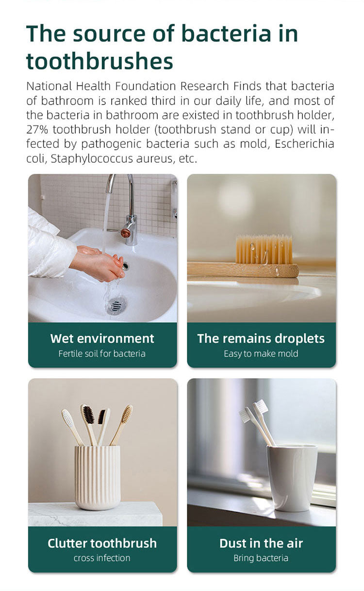 Caredite Toothbrush Sterilizer Holder