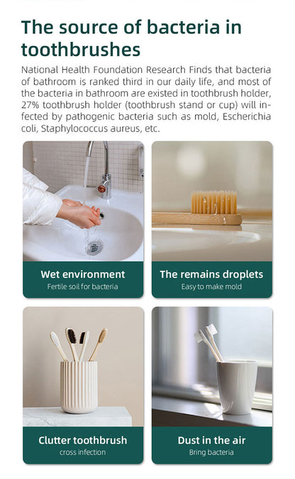 Caredite Toothbrush Sterilizer Holder